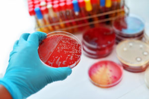 Our Environmental Testing Company Is a Proud Member of the American Society for Microbiology